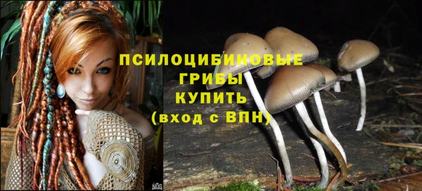 стафф Абдулино